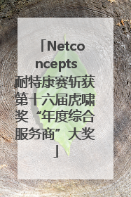 Netconcepts耐特康赛斩获第十六届虎啸奖“年度综合服务商”大奖